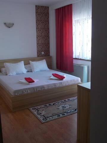 Фото номера Двухместный номер с 1 кроватью Гостевой дом Pensiunea Alpina Casi &amp; Spa г. Пэлтиниш 6