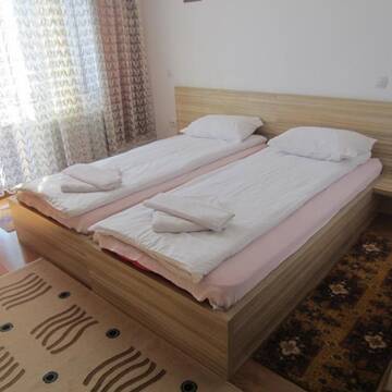 Фото номера Двухместный номер с 1 кроватью Гостевой дом Pensiunea Alpina Casi &amp; Spa г. Пэлтиниш 10