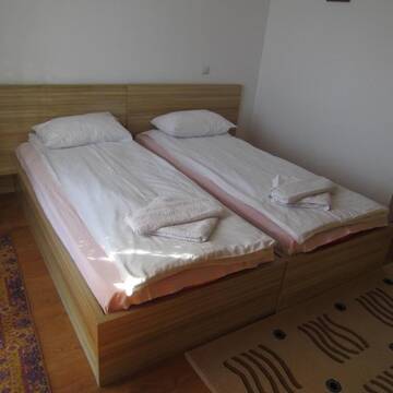 Фото номера Двухместный номер с 1 кроватью Гостевой дом Pensiunea Alpina Casi &amp; Spa г. Пэлтиниш 11