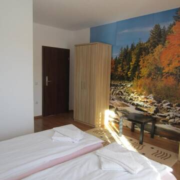 Фото номера Двухместный номер с 1 кроватью Гостевой дом Pensiunea Alpina Casi &amp; Spa г. Пэлтиниш 15